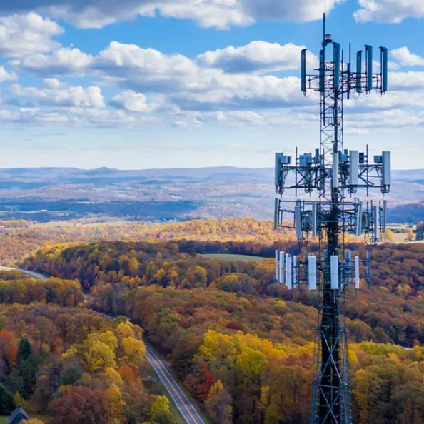 A cell phone tower in the middle of a forest.